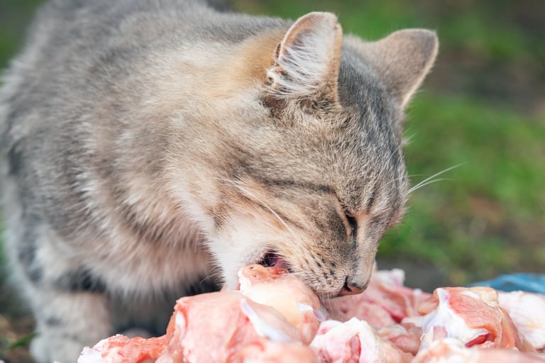 Chicken hearts and bones for dogs